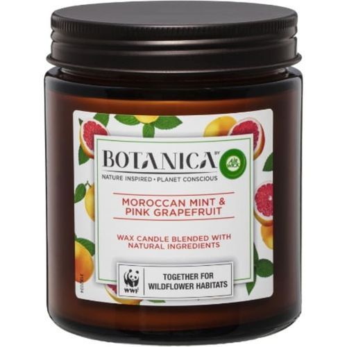 Candle Moroccan Mint & Pink Grapefruit Air Freshener -205g