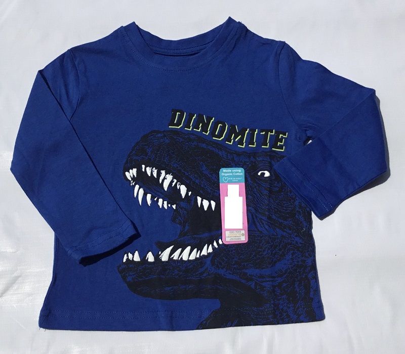 Boys Long Sleeve Top - Blue