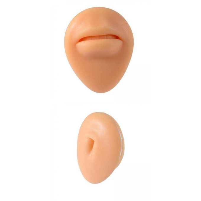 2x Human Body Part Model Silicone Modeling Texture Free Of Bubbles For