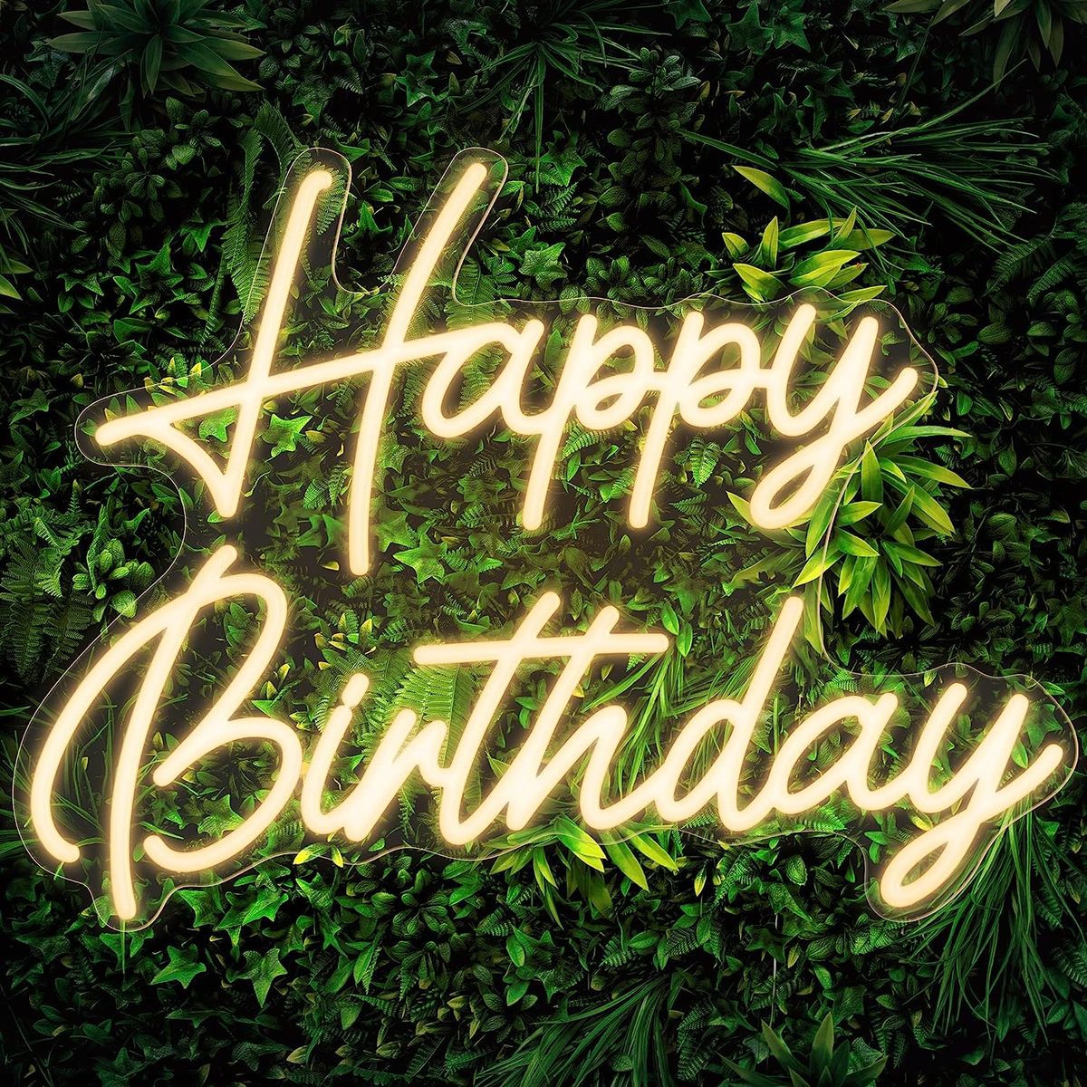 Happy Birthday Neon Sign With Dimmable Switch For Party