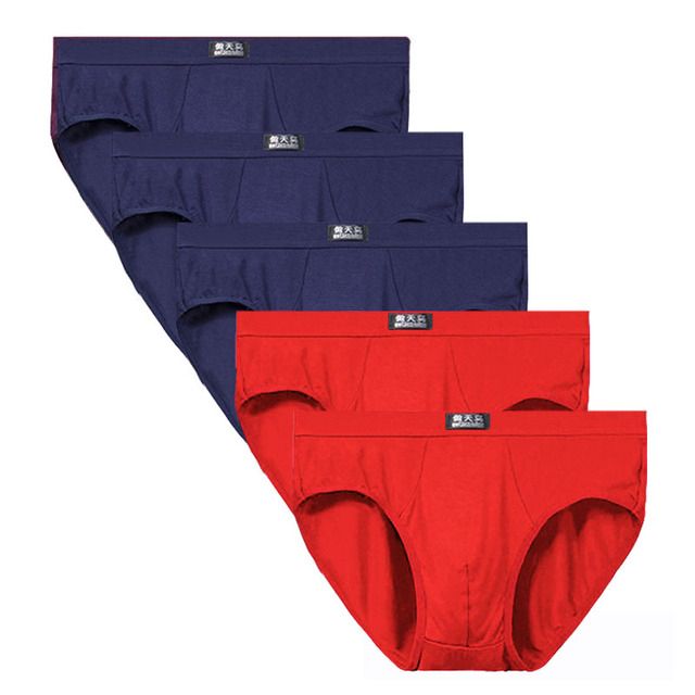 Briefs Male Underpants