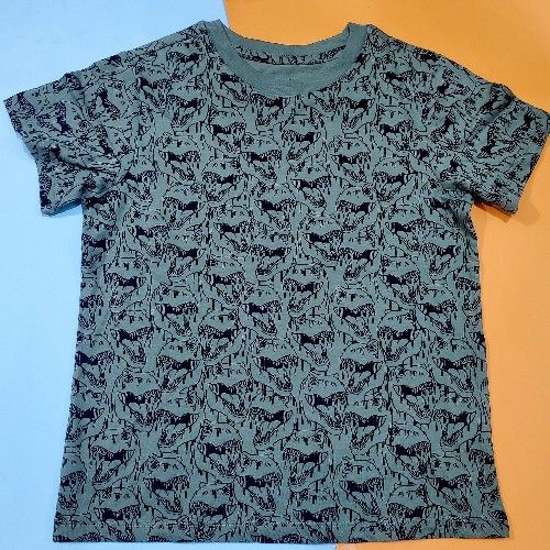 Kids Boys Dino Print Design Tshirt