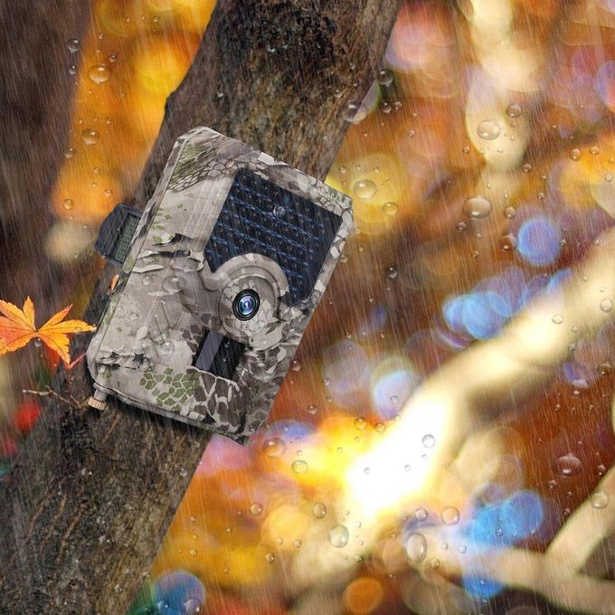 1080P Outdoor IP56 Camera Hunting 120 Degree   Wildlife Camcorder