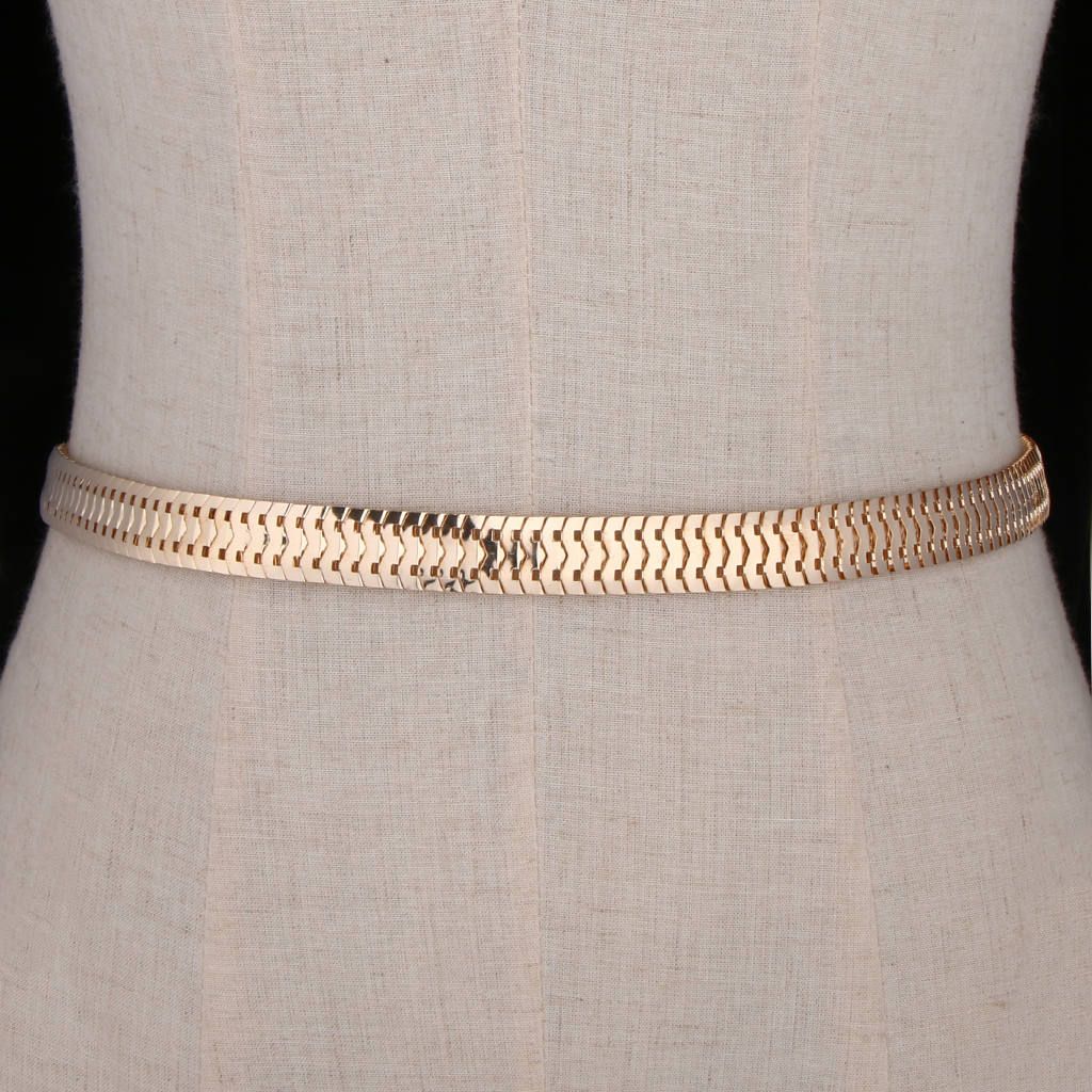 Vintage Waistband Metal Waist Chain Belt Wide Skin Tassel Band Women