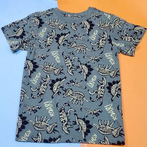 Kids  Dino Roar Print Design Tshirt