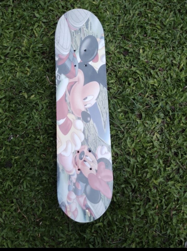 Adult Skate Board