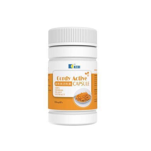 Big Cordy Active ( 60 Capsule )