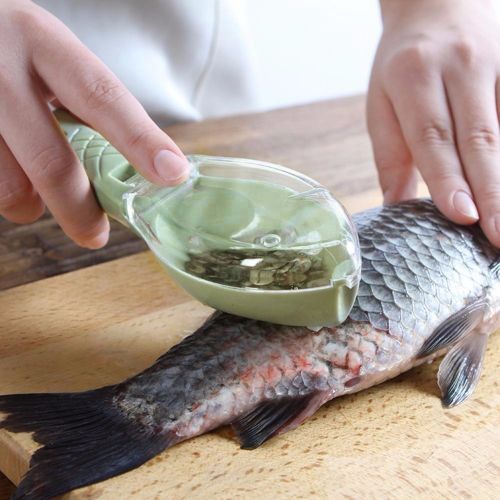 1 Piece Fish Scale Remover