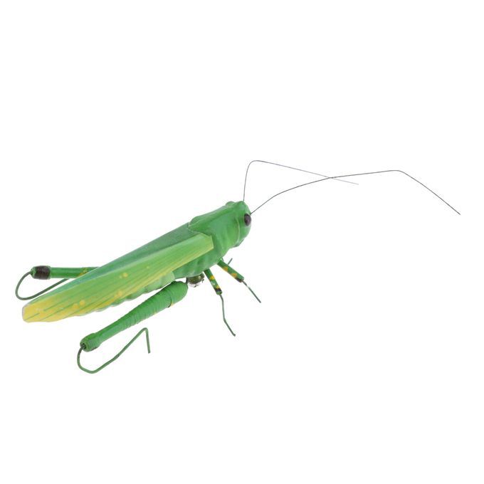 Insect Animal Pot Hanger Fridge   - Grasshopper Locust