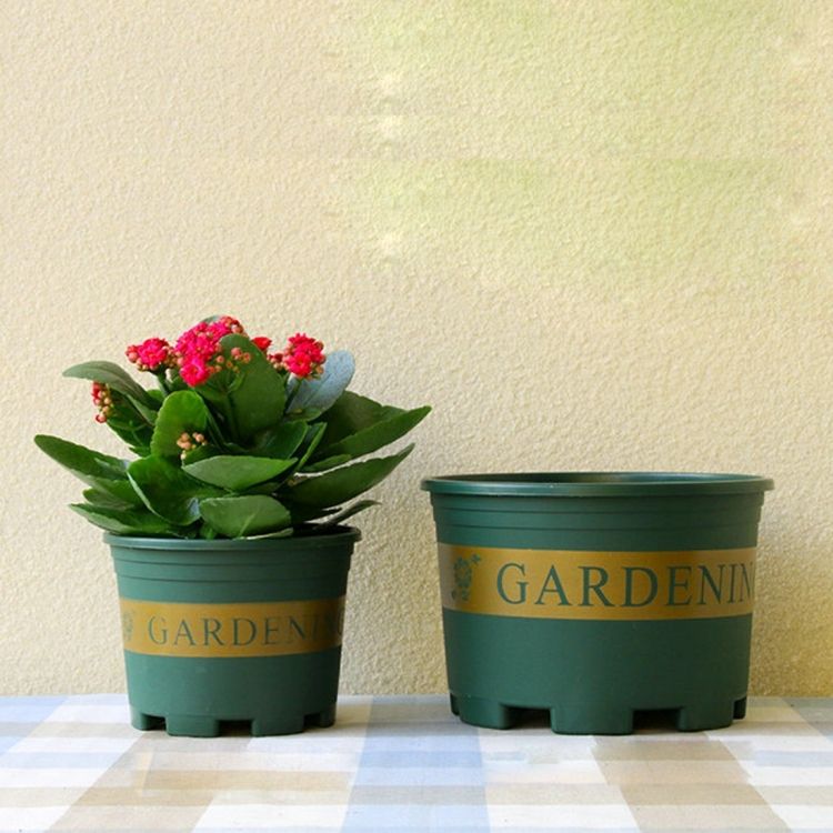 Plastic Plant Nursery Pot With Tray