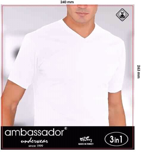 T SHIRT