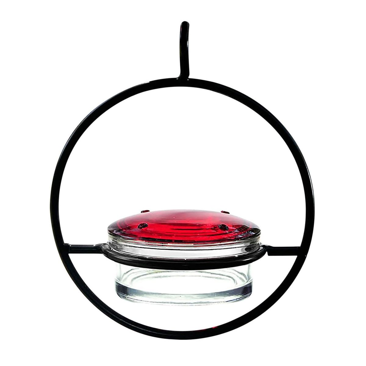 Bird Feeder with Perch Ring Exquisite Hanging Hummingbird Feeder Ant Black