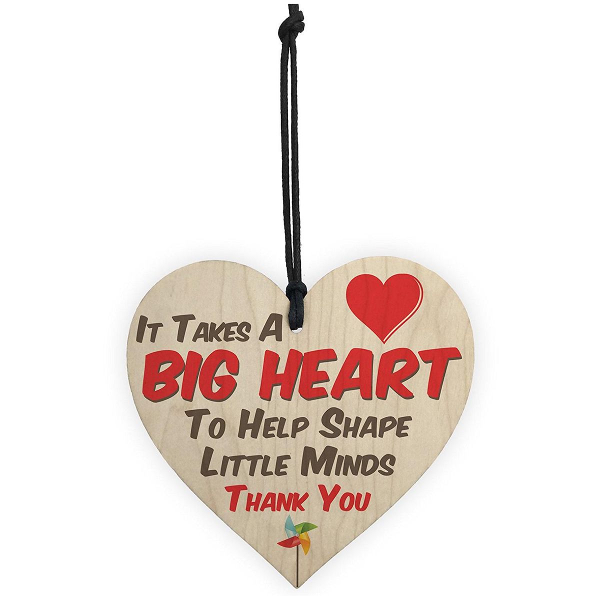 Big Heart Little Minds Teacher Mentor Tutor Hanging Plaque