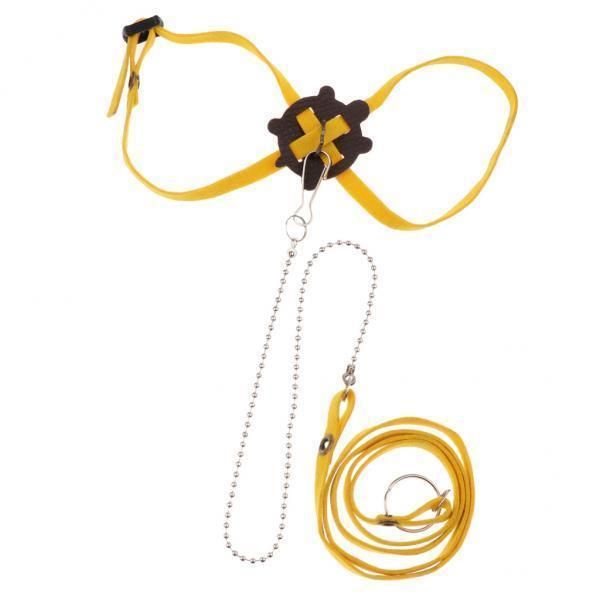 Pet Turtle Harness Leash