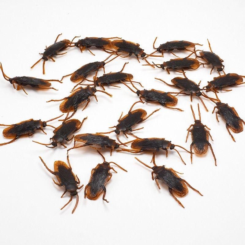12 Pcs Halloween Simulated Plastic Cockroaches D