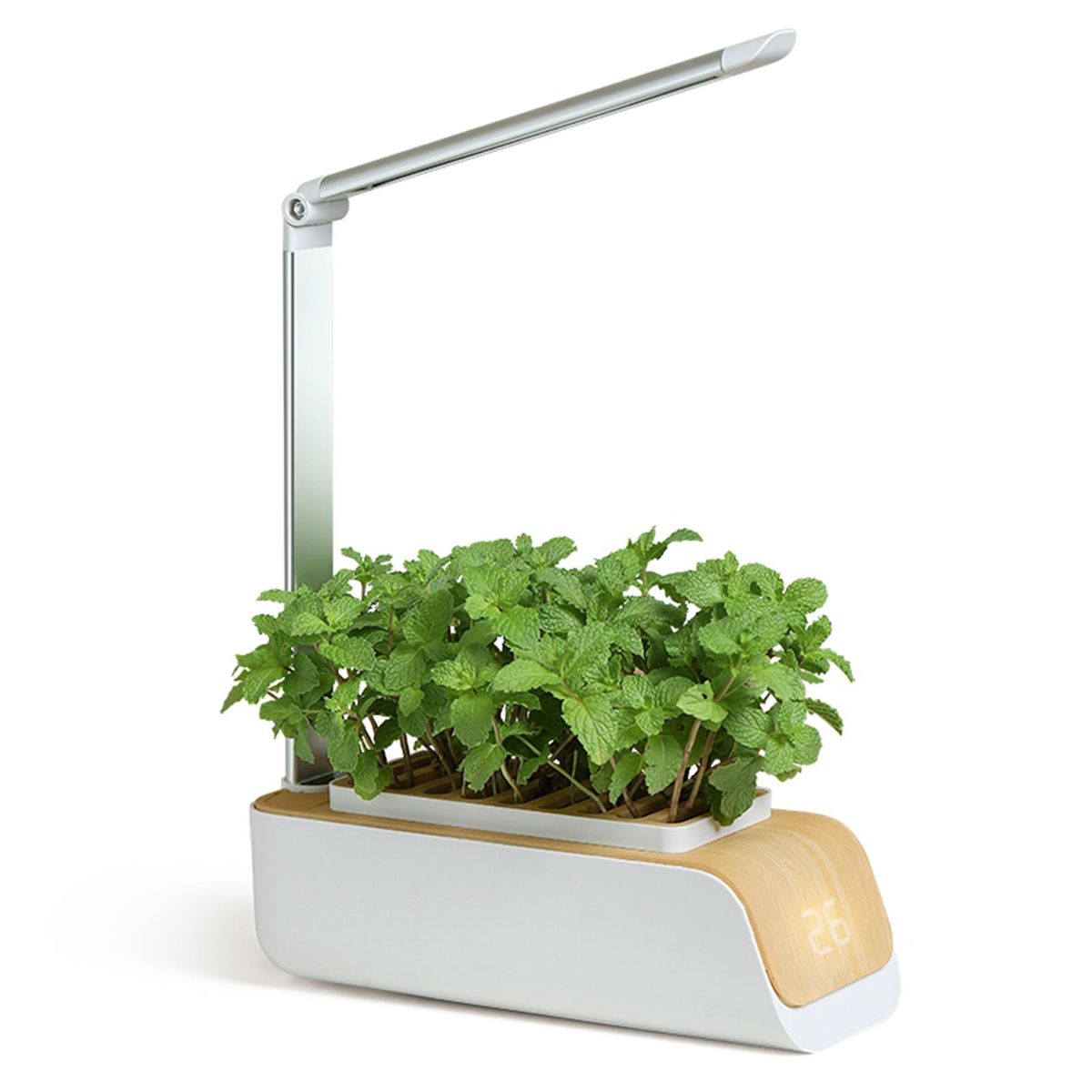 Hydroponics Growing System, Indoor Herb Garden Kit with Grow Light, Smart Garden for Home and Kitchen, Indoor Plant Growing System, Herb Grower Vegetable Gardening System