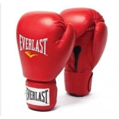 Everlast Professional Boxing Gloves - Red