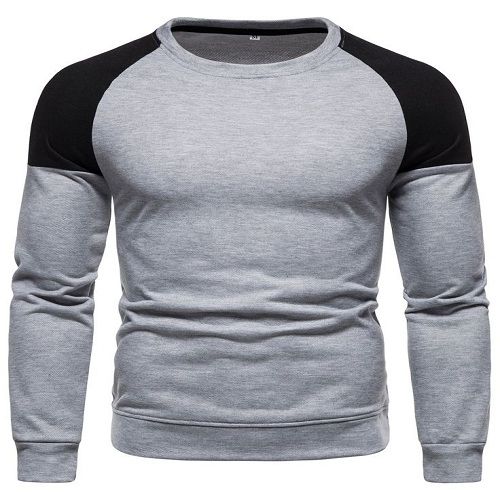 Men Colorblock Raglan Sleeve Sweatshirt
