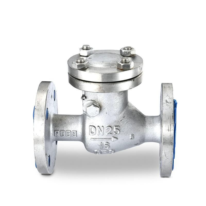 Manufacturers Supply Muffler Check Valve Check Valve Check Valve Ductile Iron Valve Cast Iron Mute Check Valve