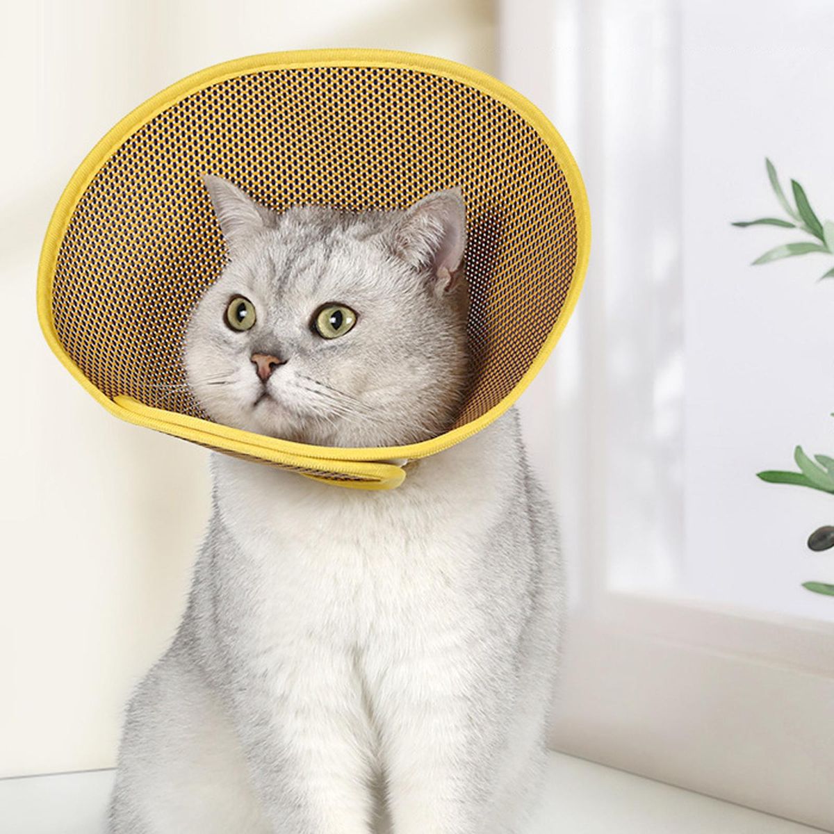 Cat  Neck Cone Woven Mesh Soft Lightweight Portable