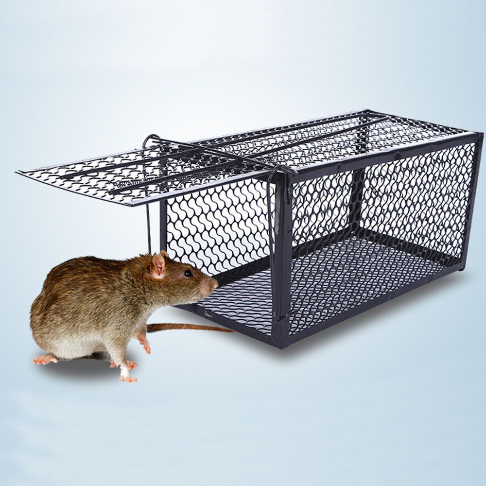 No Poison Metal Reusable Mouse Trap Rat Cage Rodent Killer M