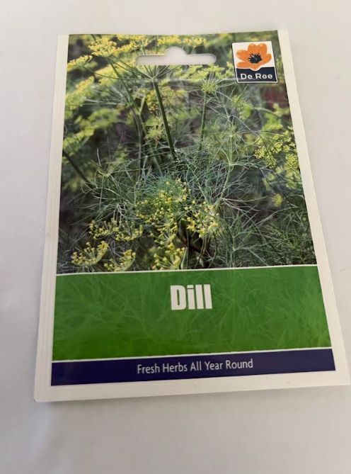 DILL SEED
