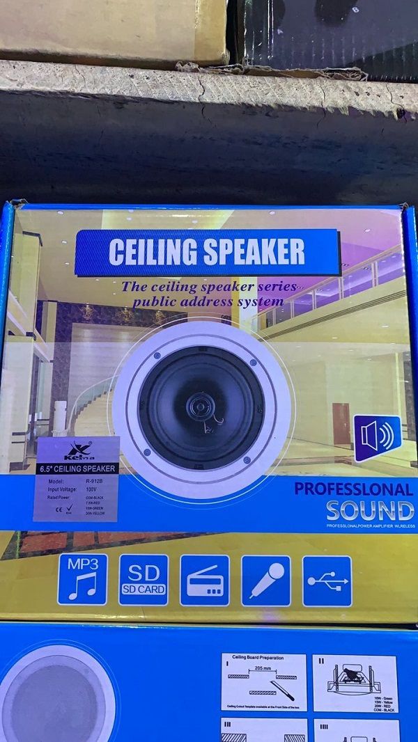 Ceiling Speaker - 30Watts