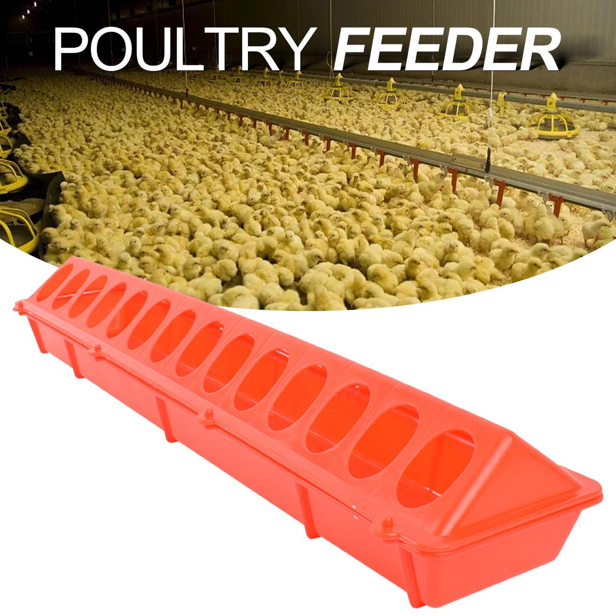 Flip Top Poultry Feeder Bird Feed Trough Box For Pheasants Chick