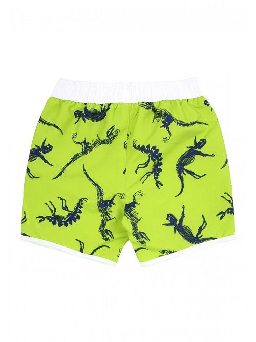 Dinosaur  Print Swim Shorts