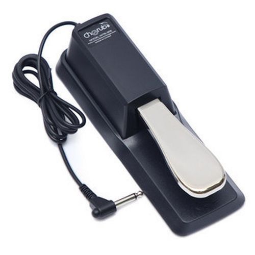 Keyboard Sustain Pedal