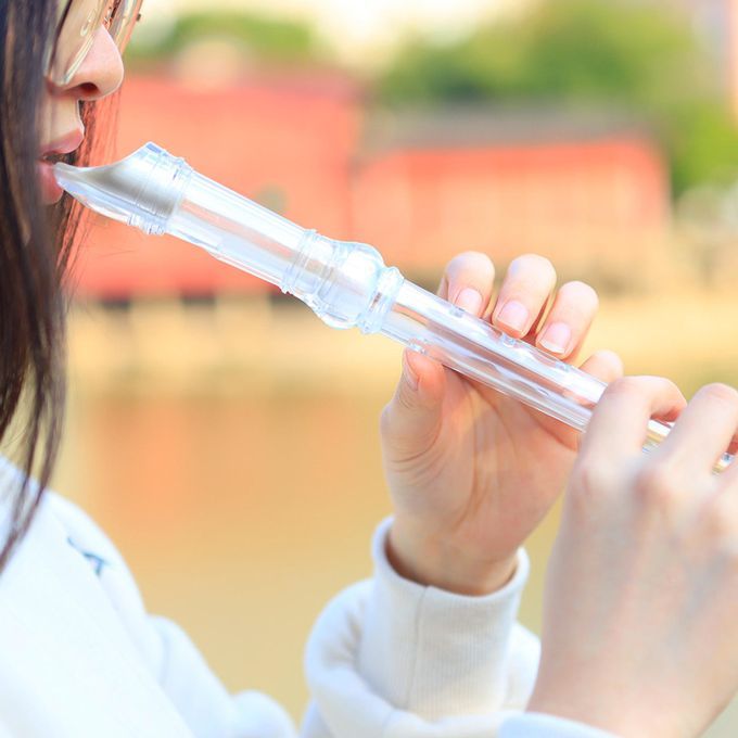 Soprano Recorder Long Flute Descant Instrument W/ Cleaning Rod Clear