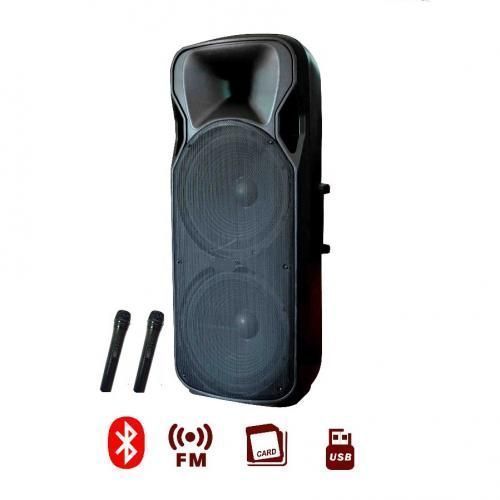 Biggest Rechargeable Public Address System With Bluetooth, 2 Microphones And USB Port