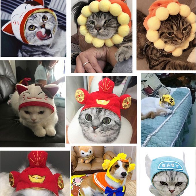 Cute Pet Hat Lucky Dog Teddy Garfield Dress Up Wig Cat Headgear-tiger-