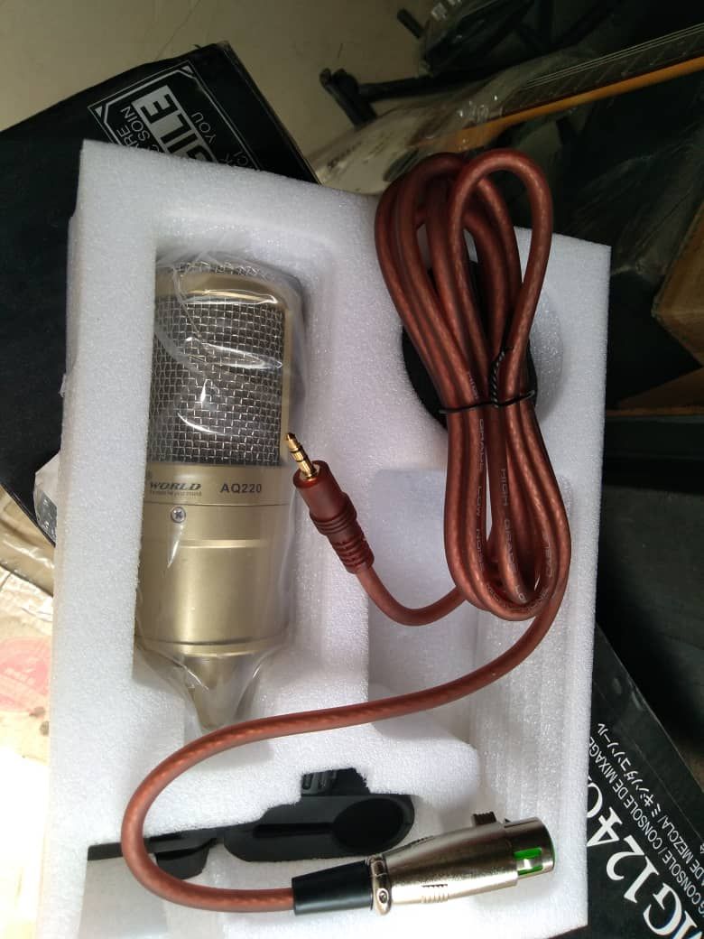 Studio Microphone