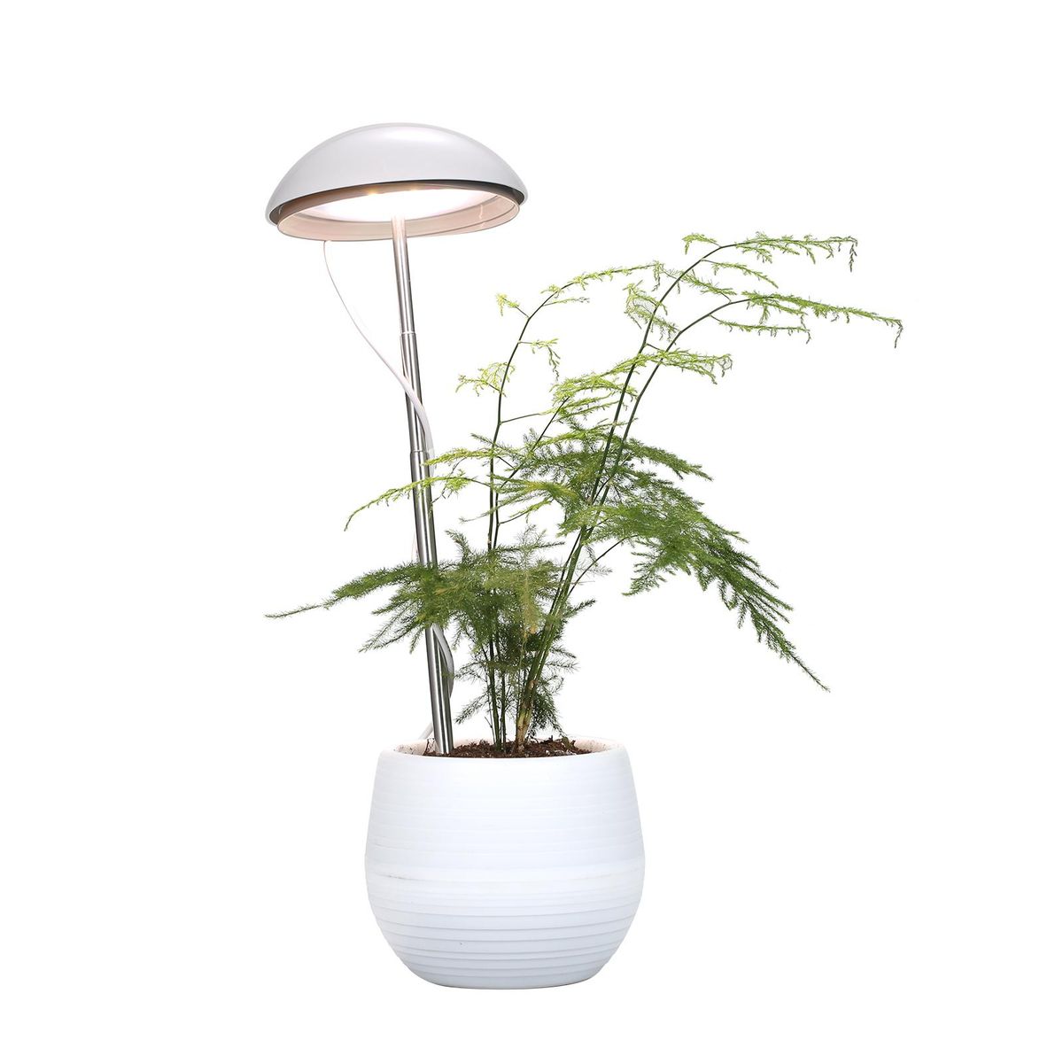 Neoglint LED Potted Plant Growing Lamp Full Spectrum Plant Grow Light Fill Light Height Adjustable 5 Dimmable Brightness for Indoor Plants