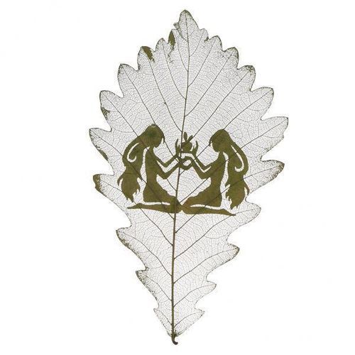 5x Leaf Specimens Of Smaller Plants With Gemini Patterns For Handmade
