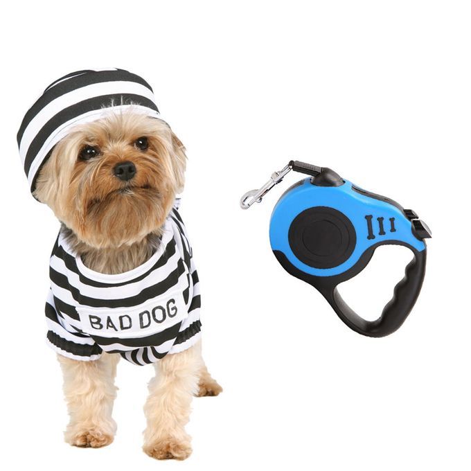Durable Retractable Dog Leash Dual Locking Outdoor Nylon Lead Blue