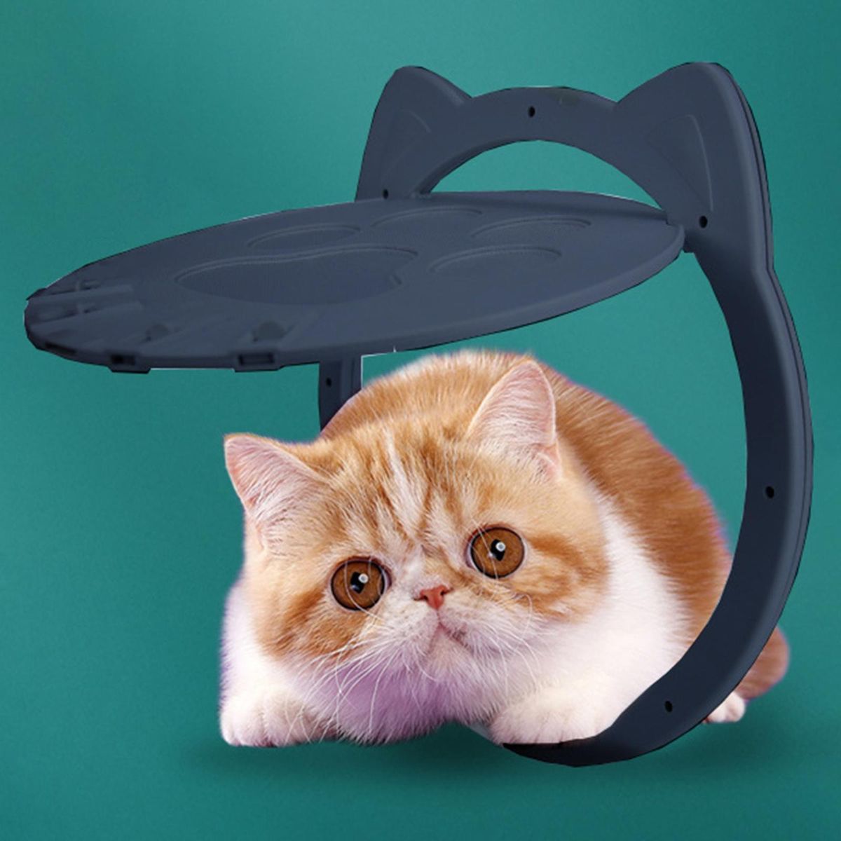 Cat Dog Flap Door Puppy Gate Exterior/Interior  C
