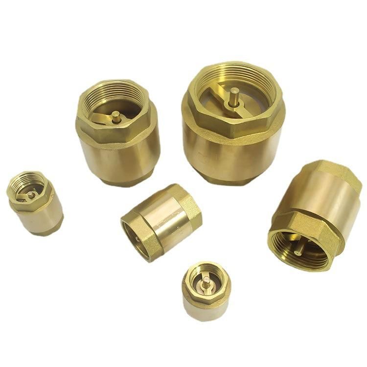 Thickened Water Supply Pipeline Anti-Reverse Un-Directional Valve 4 Points Dn15dn20/25 Vertical Copper Check Valve Spring Type