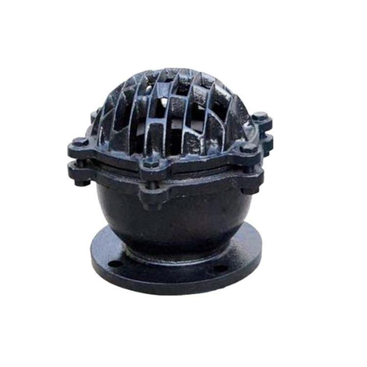 DN50/Dn80/DN100 Check Valve/Cast Iron Pump Bottom Valve H42X-6 Flange Bottom Valve