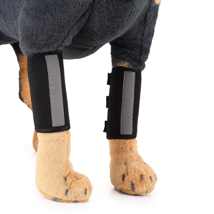 Pet Knee Protector, Size: M