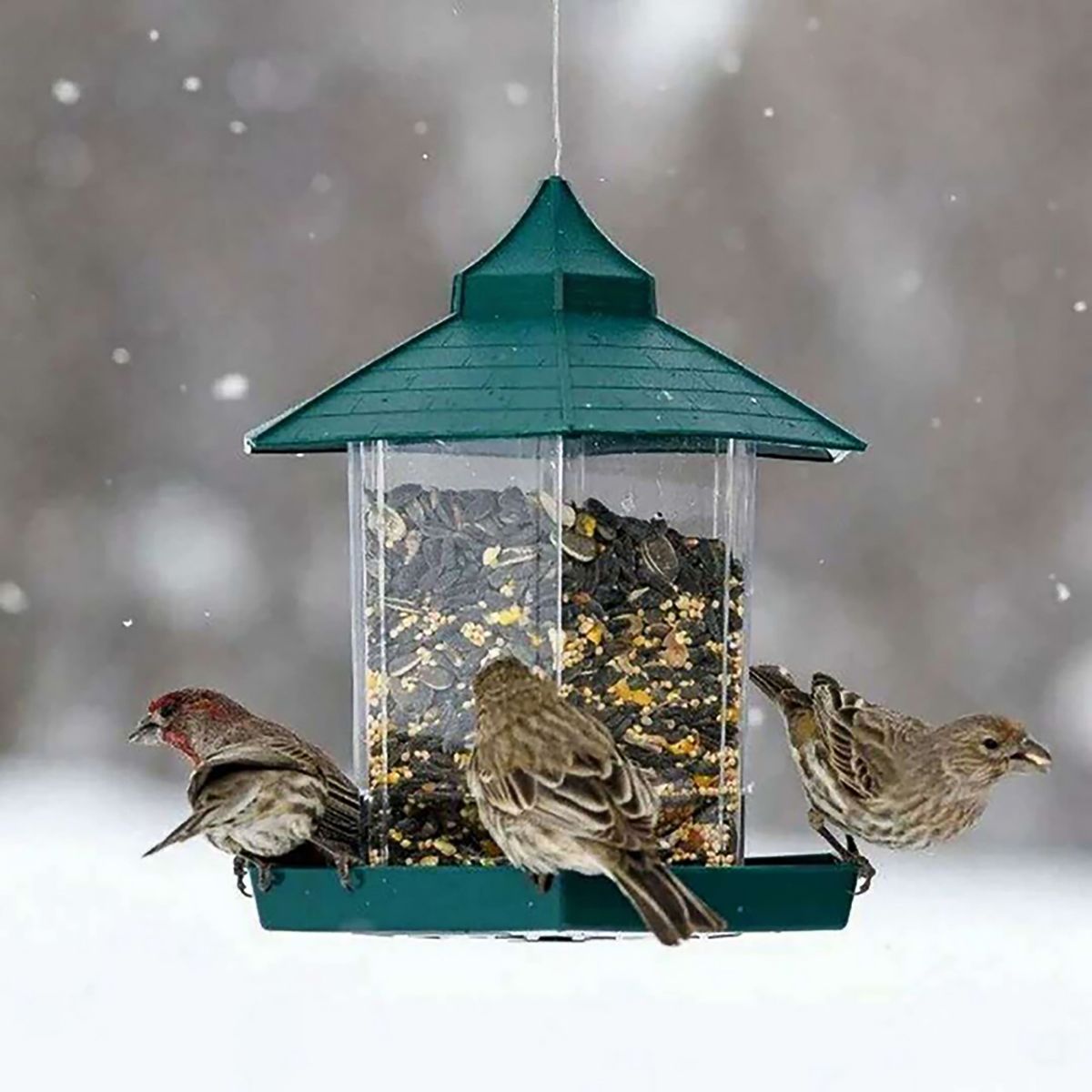 Plastic Hanging Bird Food Container Waterproof Outdoor
