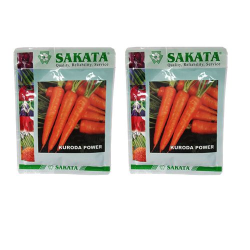 Kuroda Power Hybrid Carrot Seeds 2 Packs (50 Grams Per Pack)