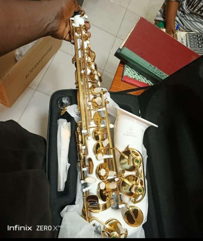Professional White Alto Saxophone