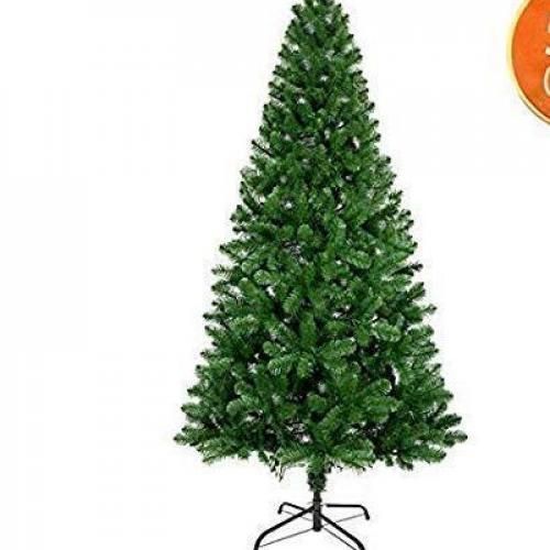 6th Christmas Tree Green