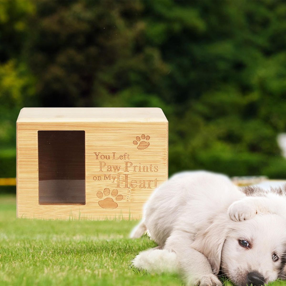 Pet Cremation Urn For Dogs Cats  Remembrance  B