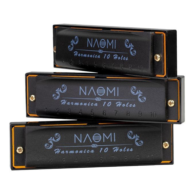 Hoodoo Blues Three Piece Harmonica Set With Case 3 Harmonicas Harp