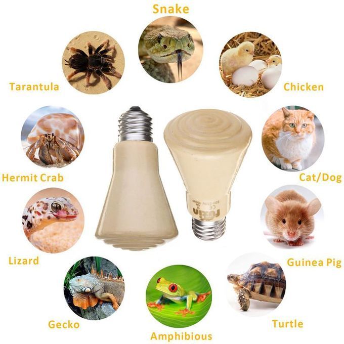 50W Infrared Ceramic Heat Light Emitter Lamp Bulb For Reptile Pet Brooder Chicken-50W