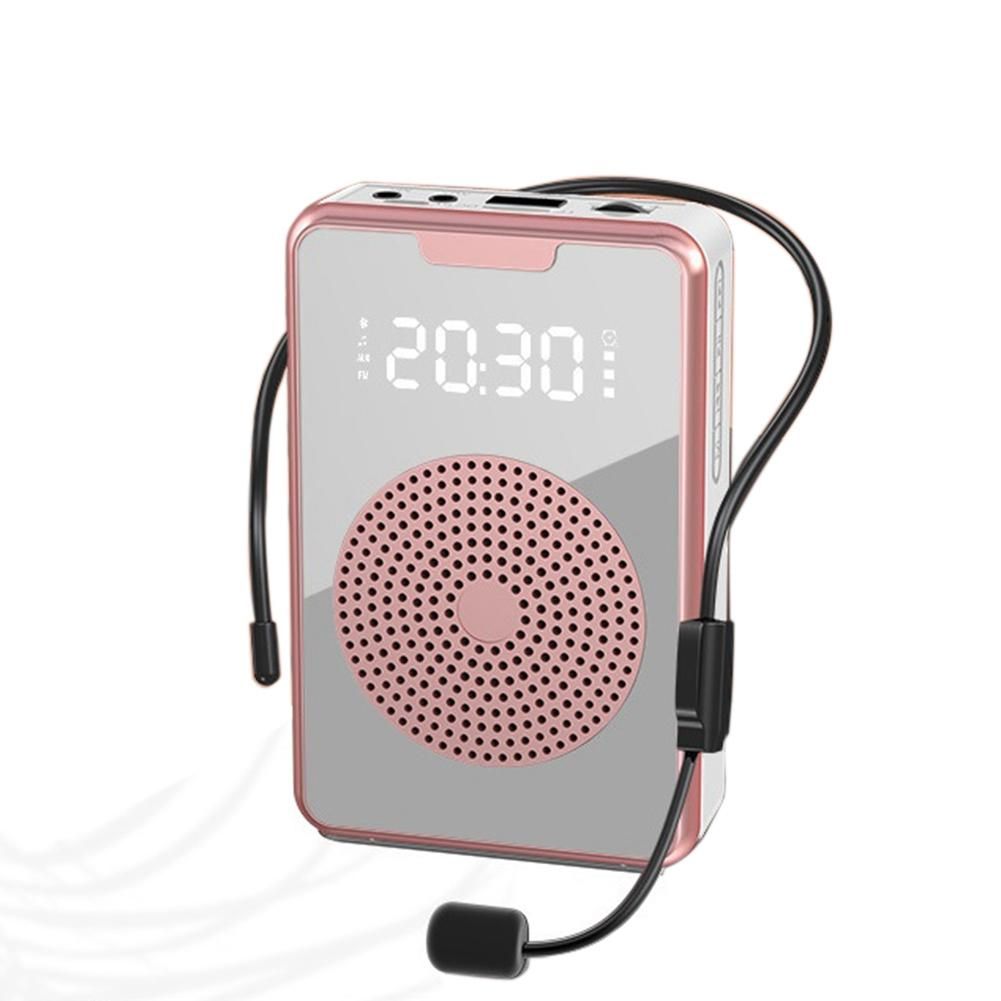 Portable Voice Amplifier for Teachers with Microphone