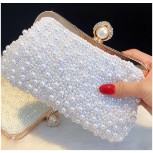 Fully Beaded Clutch Purse